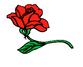 My Red Rose